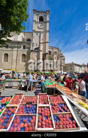 Frankreich, Vaucluse, Lubéron, Isle Sur la Sorgue, Place De La Liberte (Freiheitsplatz), Wochenmarkt am Sonntag, Obst und Stockfoto