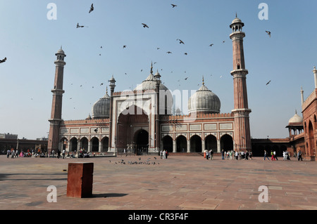 Teilansicht der Jama Masjid, Freitagsmoschee, Delhi, Nord-Indien, Asien Stockfoto