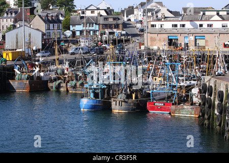 Fischerboote im Hafen mallaig Schottland Mai 2012 Stockfoto