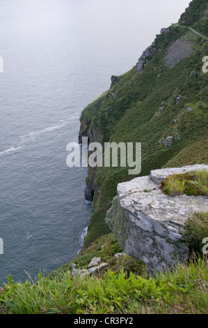 Lynton & Lynmouth, Lynemouth Bay, Tal der Felsen gehen nördlich Exmoore Ponys, Ziegen, Landschaft, Coastal Path Burgfelsen, Devon Stockfoto