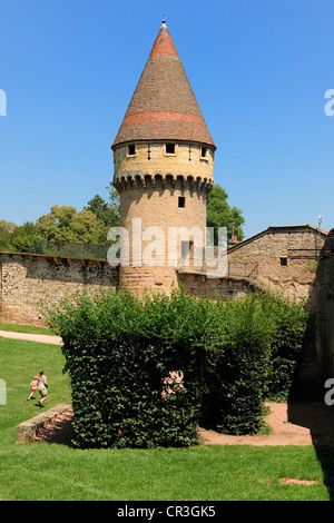 Frankreich, Saone et Loire, Maconnais, Cluny, Fabry-Turm Stockfoto