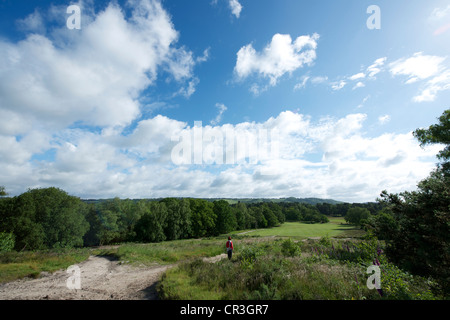 Eine Landschaft und ein Walker in Heide Reigate, Surrey auf einer sonnigen Junimorgen gegen einen blauen Himmel Stockfoto