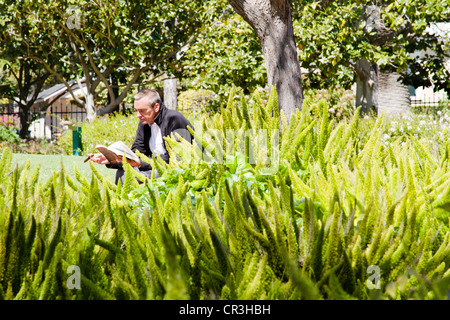 Man liest und Zigarre im üppigen Garten in "Santa Barbara" Kalifornien Stockfoto