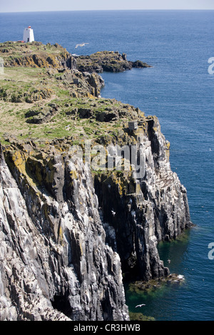 Felsen auf der Isle of May, Schottland. Stockfoto