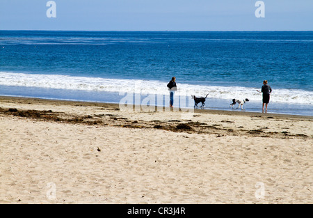 Paar spielen mit Hunden am Strand in Kalifornien "Santa Barbara" Stockfoto