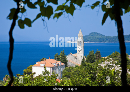 Kroatien, Dalmatien, dalmatinische Küste, Elafiti Inseln, Lopud Insel Stockfoto