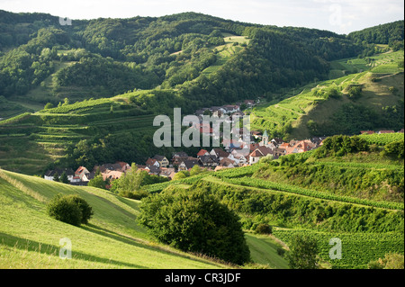 Schelingen und Weinberge, Gebirge Kaiserstuhl, Baden-Württemberg, Deutschland, Europa Stockfoto