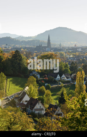 Freiburg Im Breisgau, Schwarzwald, Baden-Württemberg, Deutschland, Europa Stockfoto