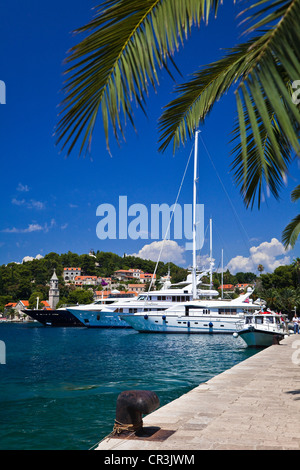 Kroatien, Dalmatien, dalmatinische Küste, Cavtat Stockfoto