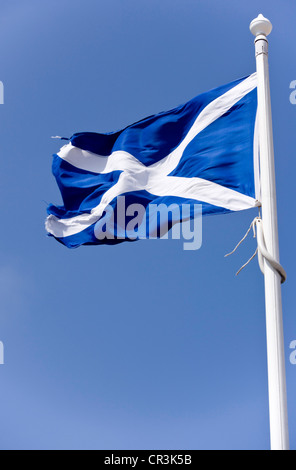 Das schottische Andreaskreuz-Flag. Stockfoto