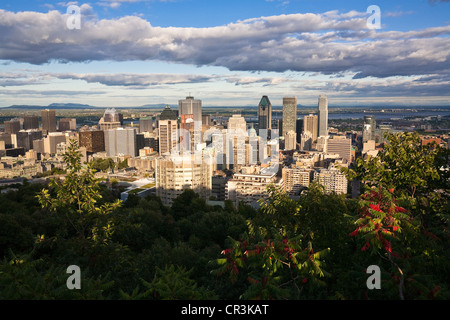 Kanada, Provinz Quebec, Montreal, Blick auf die Innenstadt von Wolkenkratzer aus der Sicht des Mount Royal Stockfoto