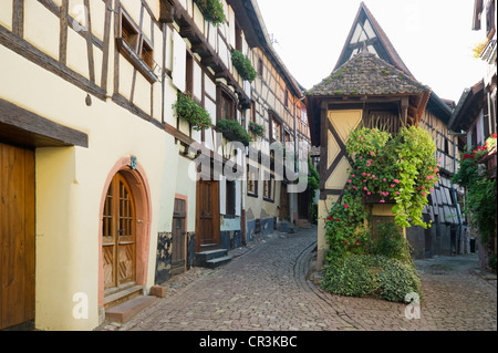 Fachwerkhäuser in Eguisheim, Elsass, Vogesen, Frankreich, Europa Stockfoto