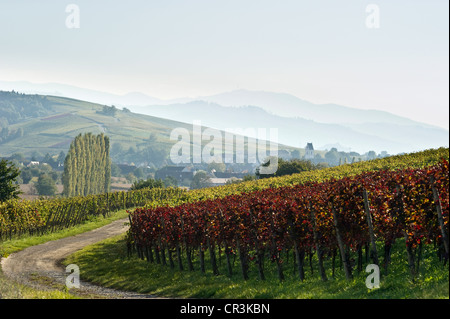 Hexental bei Freiburg Im Breisgau, Markgraeflerland-Region, Baden-Württemberg, Deutschland, Europa Stockfoto