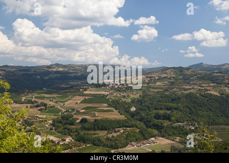 Hügelige Landschaft in der Nähe von Castino, Cuneo, Piemont, Italien, Europa Stockfoto