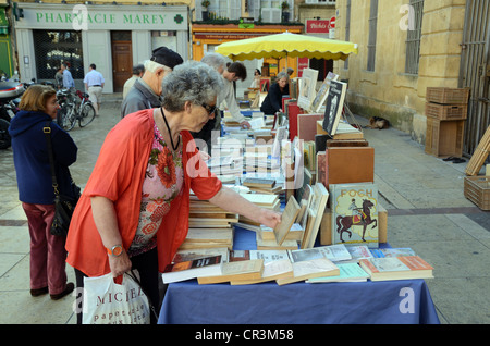 Buchsammler oder Kunde Browsing auf der Buchmesse, Antiquariatbücher, gebrauchte Bücher oder Gebrauchtbuchstand Aix-en-Provence Provence Frankreich Stockfoto