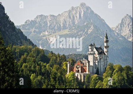 Schloss Neuschwanstein Castle in der Nähe von Füssen, Allgäu, Bayern, Deutschland, Europa Stockfoto