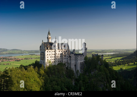 Schloss Neuschwanstein Castle, in der Nähe von Füssen, Allgäu, Bayern, Deutschland, Europa Stockfoto