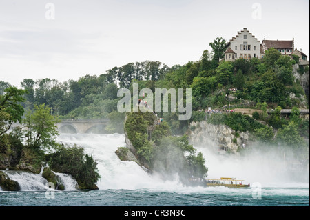 Rheinfall, Schaffhausen, Schweiz, Europa Stockfoto