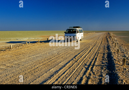 Kunene Region, Damaraland, Etosha Nationalpark, Namibia, Auto die Tracks Stockfoto