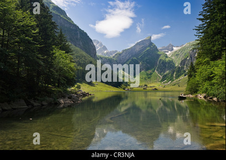 Seealpsee See, Berg Säntis im Rücken, Alpstein, Appenzell, Schweiz, Europa Stockfoto