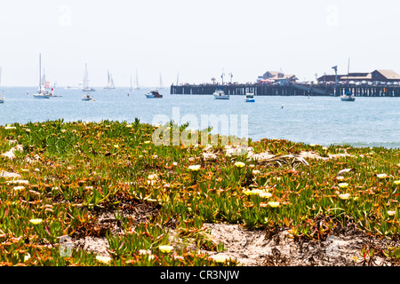 Blick auf Stearns Wharf vom Strand in Kalifornien "Santa Barbara" Stockfoto