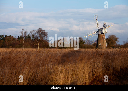 Eine Ansicht des Turf Moor Mühle wie Hill, Norfolk, England Stockfoto