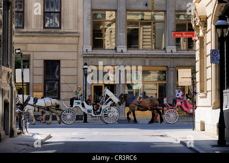 Kanada, Provinz Quebec, Montreal, Kalesche in Vieux Montreal (Old Montreal District) Stockfoto