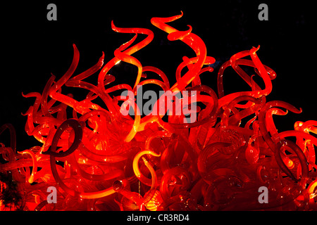 Chihuly Glasskulptur Kunst am Dallas Arboretum in der Nacht, Texas USA Stockfoto