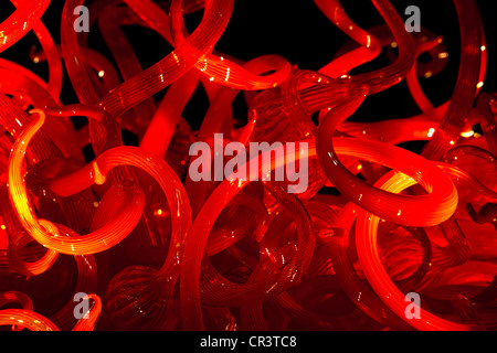 Chihuly Glasskulptur Kunst am Dallas Arboretum in der Nacht, Texas USA Stockfoto