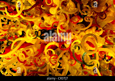 Chihuly Glasskulptur Kunst am Dallas Arboretum in der Nacht, Texas USA Stockfoto