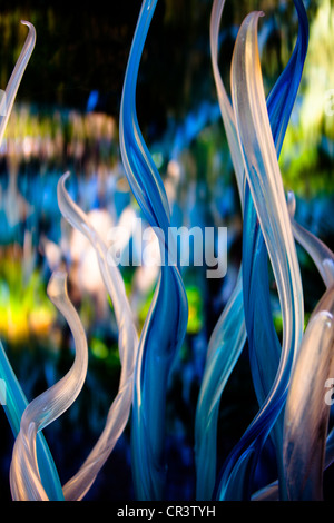 Chihuly Glasskulptur Kunst am Dallas Arboretum in der Nacht, Texas USA Stockfoto