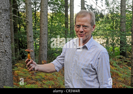 Mann hält eine Bucht Bolete (Boletus Badius), Futter für Pilze im Wald, Iserlohn, Sauerland Stockfoto