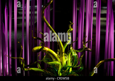 Chihuly Glasskulptur Kunst am Dallas Arboretum in der Nacht, Texas USA Stockfoto