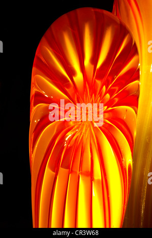 Chihuly Glasskulptur Kunst am Dallas Arboretum in der Nacht, Texas USA Stockfoto