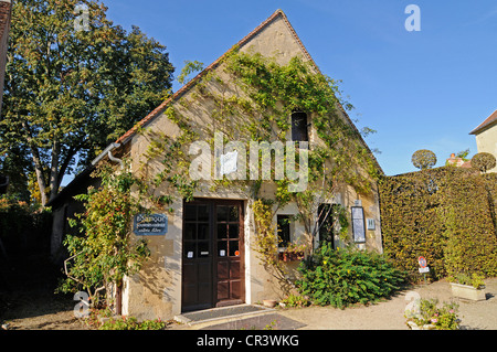 Haus im Parc Floral Park, Apremont-Sur-Allier, Dorf, Bourges, Cher, Region Centre, Frankreich, Europa, PublicGround Stockfoto