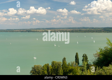 Blick von Tihany Segelboote am Balaton in Ungarn. Stockfoto