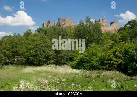 Ludlow Castle, Shropshire Stockfoto