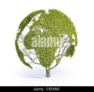 Baum in Form der Weltkarte Stockfoto
