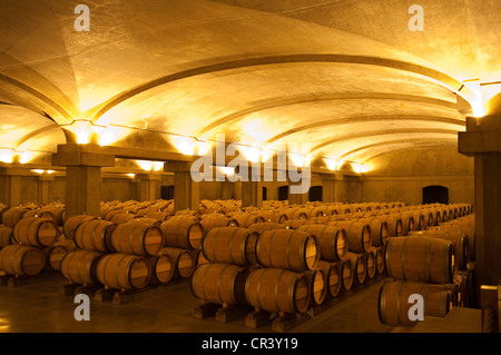 Frankreich, Gironde, Sauternes, Chateau d ' Yquem, Premier Cru Classe, Sauternes AOC, Wein lagern Fässer weiße Likörwein Stockfoto