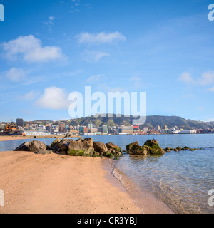 Wellington von Oriental Bay. Stockfoto