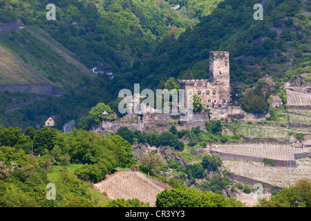 Burg Gutenfels Burg, Kaub, UNESCO World Heritage Site Oberes Mittelrheintal, Rheinland-Pfalz, Deutschland, Europa Stockfoto