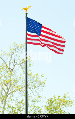 USA-Flagge im Wind wehende Stockfoto
