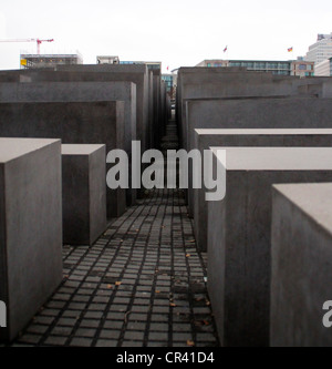 Das Denkmal für die Mörderin der Juden, vom Architekten Peter Eisenman von 2.711 konkrete Stele, im Zentrum von Berlin Stockfoto