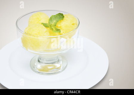 Pfirsich und Melone Sorbet in Salatschüssel auf einem weißen Teller Stockfoto