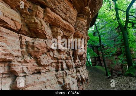 Klettern, Bereich, Naturdenkmal, Altschlossfelsen oder Old Castle Rock in Eppenbrunn, Naturpark Pfälzer Wald Stockfoto