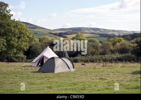 Zelten auf Camping Purbeck in Dorset Stockfoto