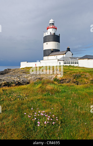 Leuchtturm, Hook Head, County Wexford, Irland, Europa Stockfoto