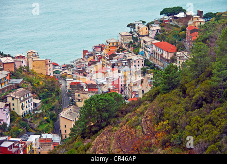 Italien: Cinque Terre Nationalpark, Manarola an ligurischen Küste Stockfoto