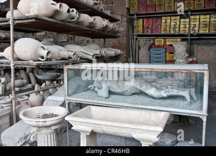 Italien: Antike römische Stadt Pompeji, Forum Getreidespeicher Bereich wo Relikte ausgegraben Gipsabdruck des Opfers in einer Vitrine gehören Stockfoto