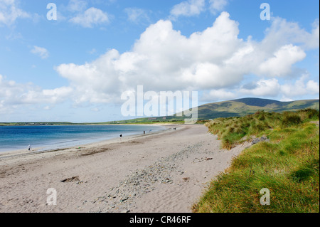 Sandstrand westlich von Dingle Halbinsel Dingle, County Kerry, Irland, Europa Stockfoto